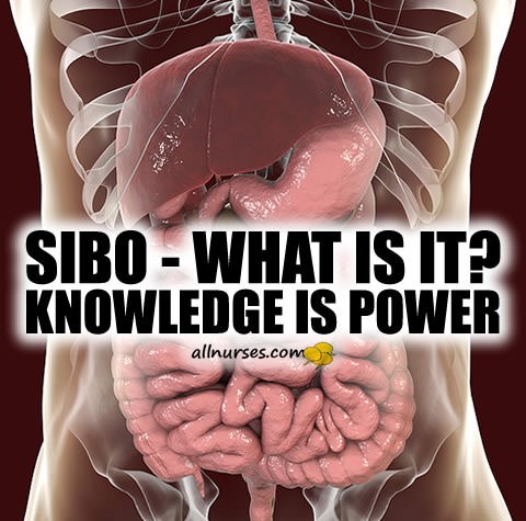 Talking About Small Intestinal Bacterial Overgrowth: SIBO