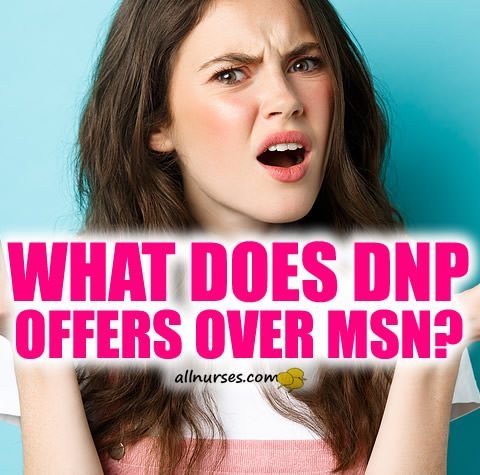 DNP vs MSN