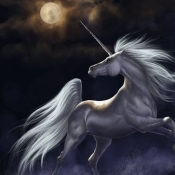 NoctuRNal_UnicoRN