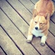 WorkInProgress RN BSN