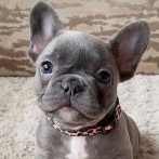 StraightOuttaNursingSchool