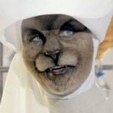 NunNurseCat