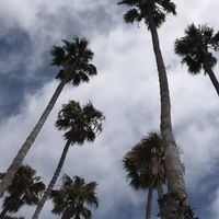 Jennifer N Darrell Holt