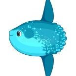 sunfish