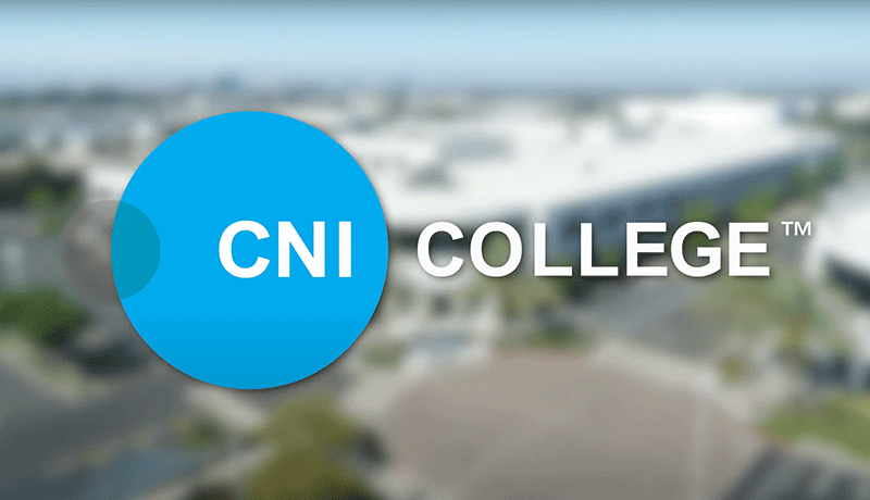 Career Networks Institute